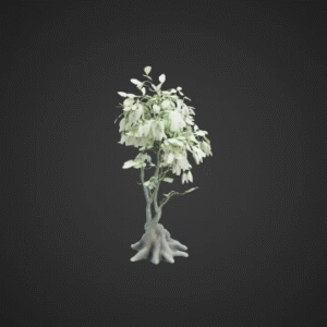 Ethereal Willow Sprout