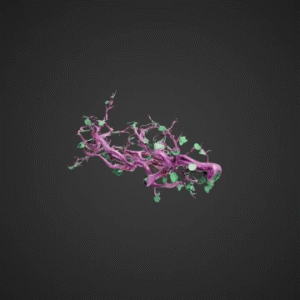 Venomous Vines