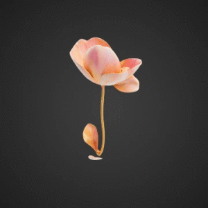Pixie Dust Flower