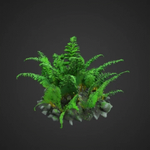 Luminous Ferns