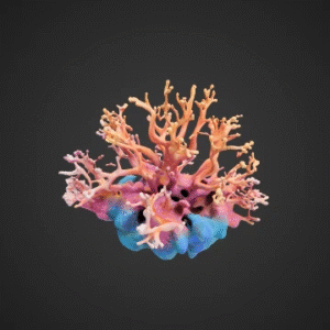 Oceanic Coral Rock