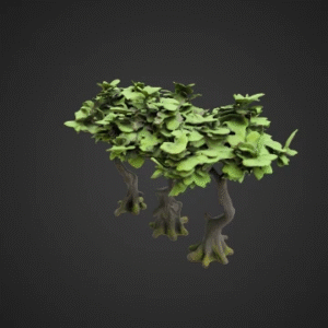 Elderwood Tree Saplings