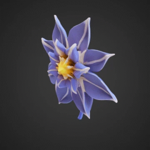 Celestial Starflower