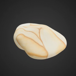 Polished River Stone