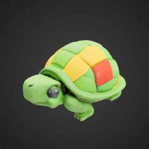 Whimsical Tortoise